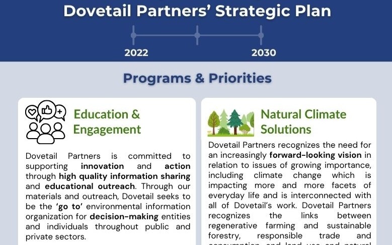 Summary of Dovetail Partners' 2022-2030 Strategic Plan 